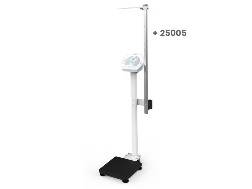 25001_b.jpg