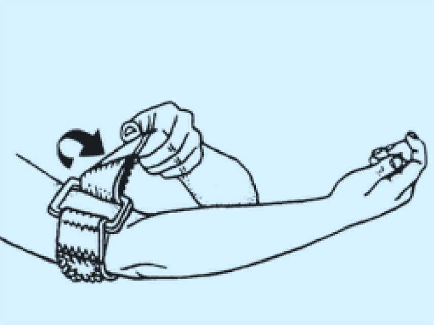 25725_c.jpg