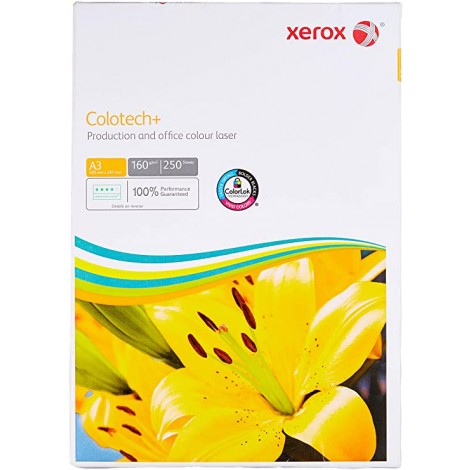 [Y11314] Colotech+ Gold - Carta A3