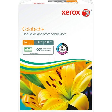 [Y11301] Colotech+ Gold - Carta A4