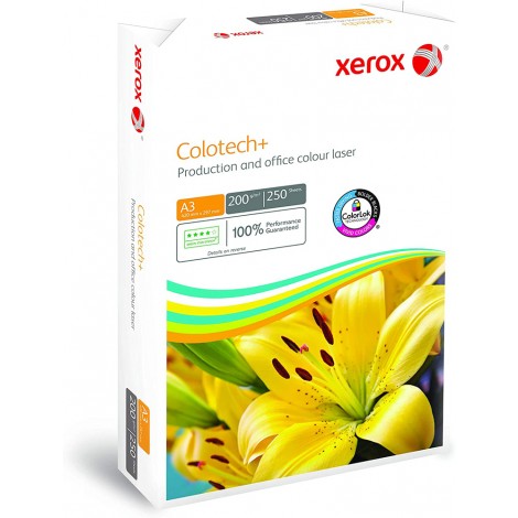 [Y11309] Colotech+ Gold - Carta A3