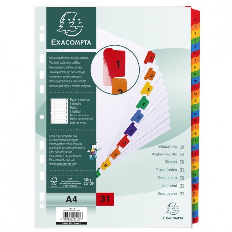 [EX0095] Intercalari plastificati 31 tasti 31-1, col. assor...