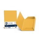 Luce - Cartellina 3 lembi