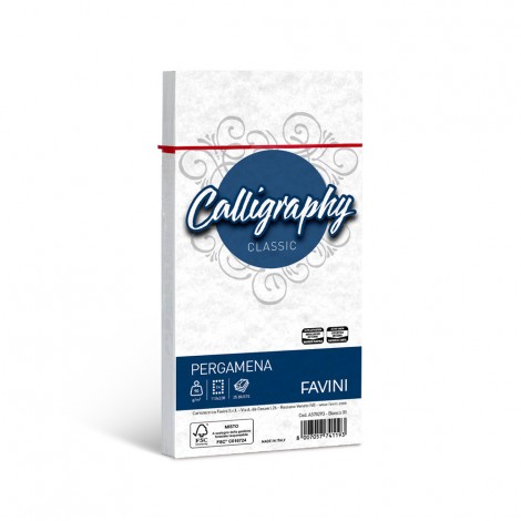 Calligraphy - Buste pergamena C4