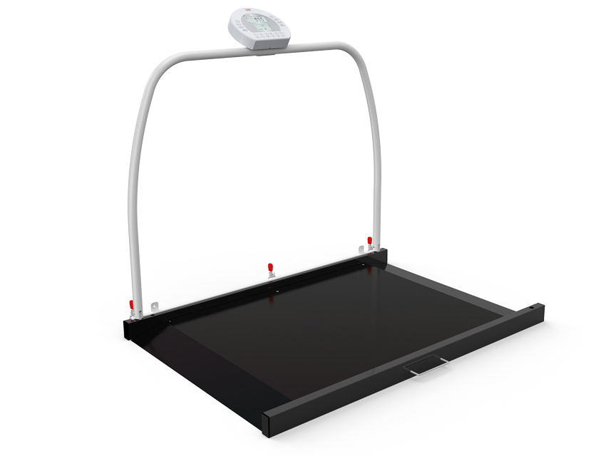 [25026] PIATTAFORMA DIGITALE WUNDER RW2.0 CON CORRIMANO 300 kg - Classe III