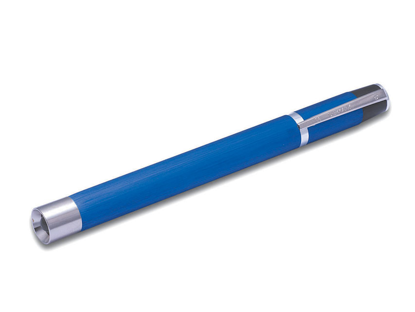 [25442] LUCCIOLA LED ARGENTA - metallo - blu
