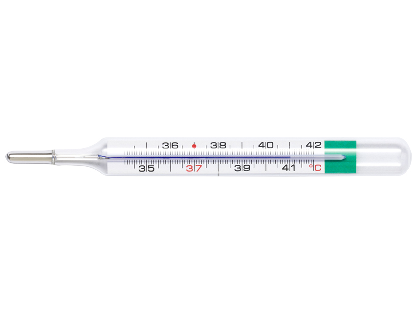 TERMOMETRO GERATHERM CLASSIC+ GB,PL,LT,LV,EE,CZ,SK,SI,HU,HR,SR,RO