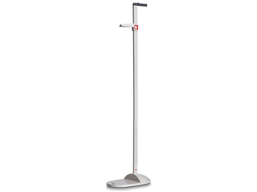 STADIOMETRO MOBILE SECA 213