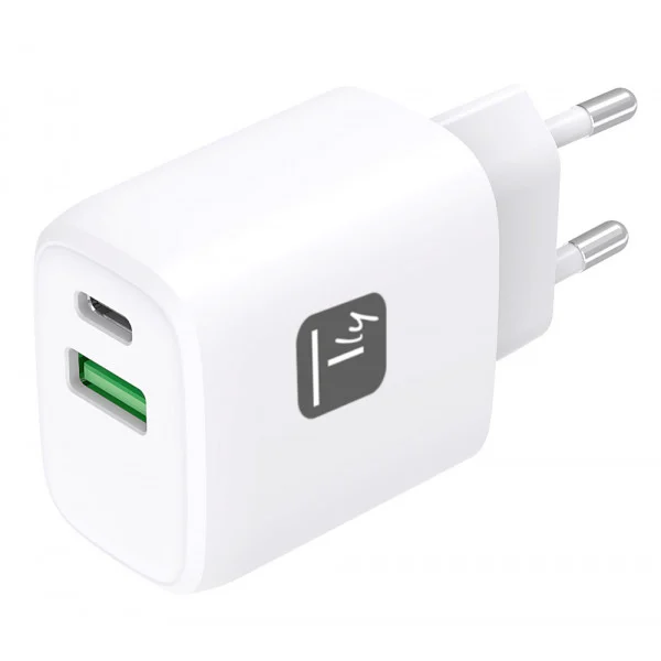 [IPW-USB-20WACG] Caricatore Alimentatore GaN USB-C™ 20W e USB-A 18W da Muro