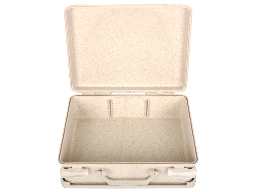 CASSETTA ECOLOGICA FUTURA - beige - vuota