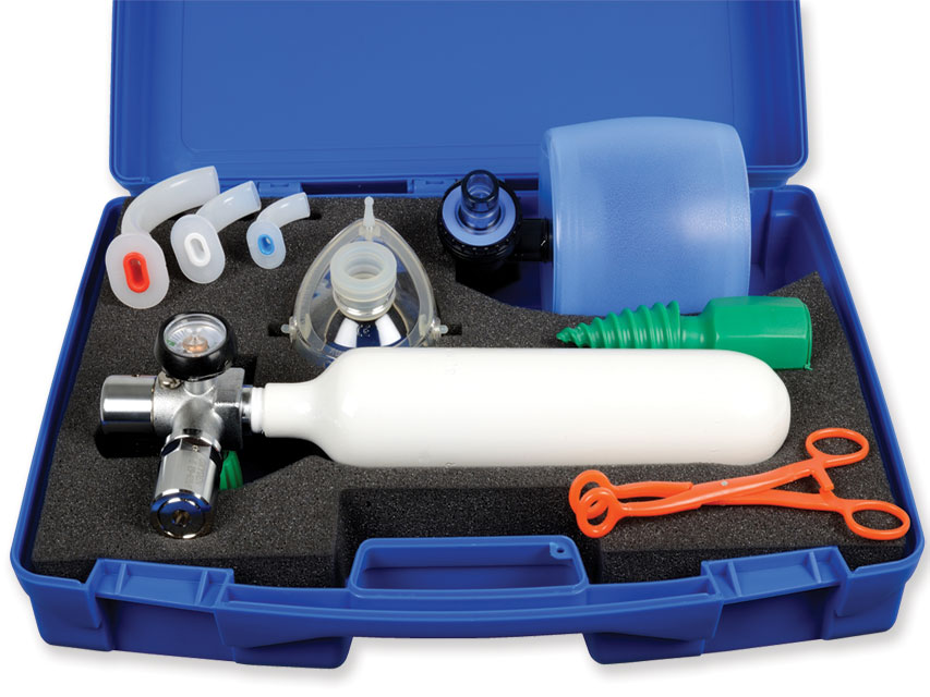 CASSETTA SPEED-2 - con bombola NF (vuota)